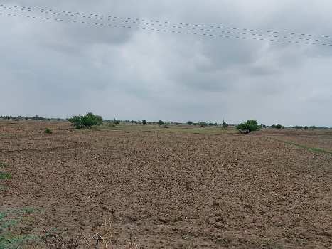 5 Bigha Agricultural/Farm Land for Sale in Pali