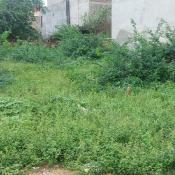 Kanwar-Nagar Residential pattasuda plot