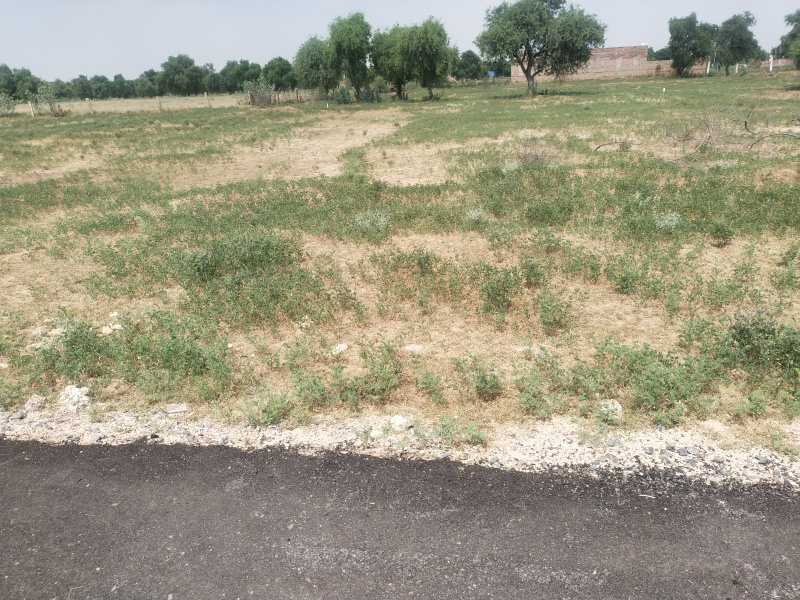 1337 Sq. Yards Industrial Land / Plot for Sale in Jodhpur