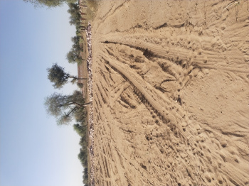 Property for sale in Boranada, Jodhpur