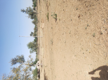 Property for sale in Boranada, Jodhpur