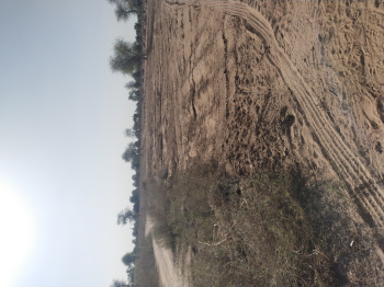 Property for sale in Boranada, Jodhpur