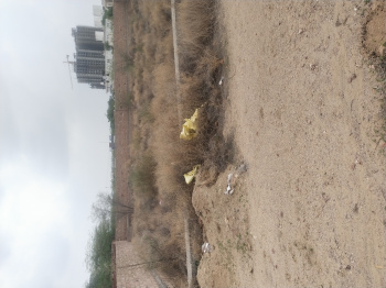 Property for sale in Chaukhan, Jodhpur