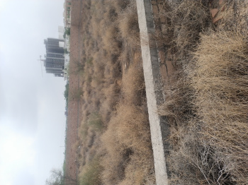 Property for sale in Chaukhan, Jodhpur