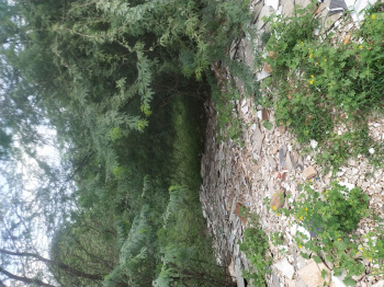 Property for sale in Boranada, Jodhpur