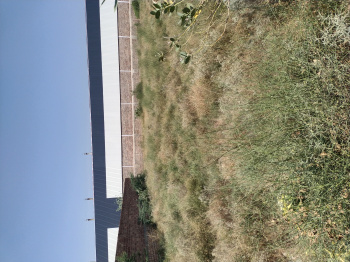 Property for sale in Salawas Road, Jodhpur