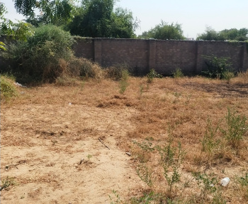 Property for sale in Sangaria Bypass, Jodhpur