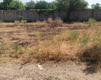 Property for sale in Sangaria Bypass, Jodhpur