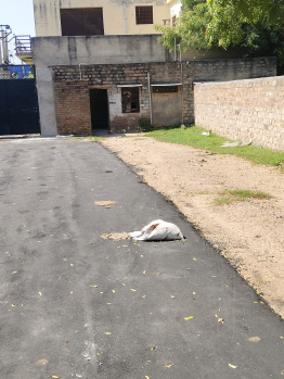 Property for sale in Jhalamand Circle, Jodhpur