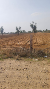 Property for sale in Boranada, Jodhpur