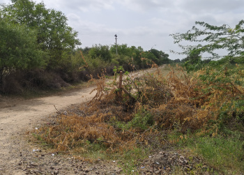 Property for sale in Kakani, Jodhpur