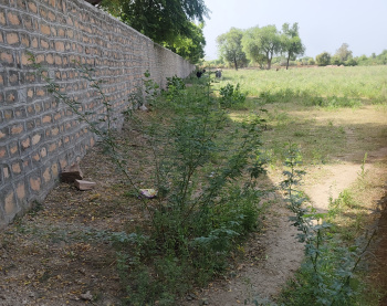 MAIN KAKANI TO SHIKHAR PURA ROAD LAND