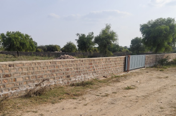 AGRICULTURE PLOT NEAR SUSHANT LOK