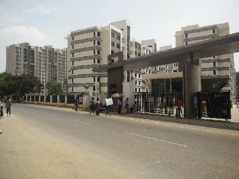 3 BHK Flats & Apartments for Rent in Thanisandra, Bangalore