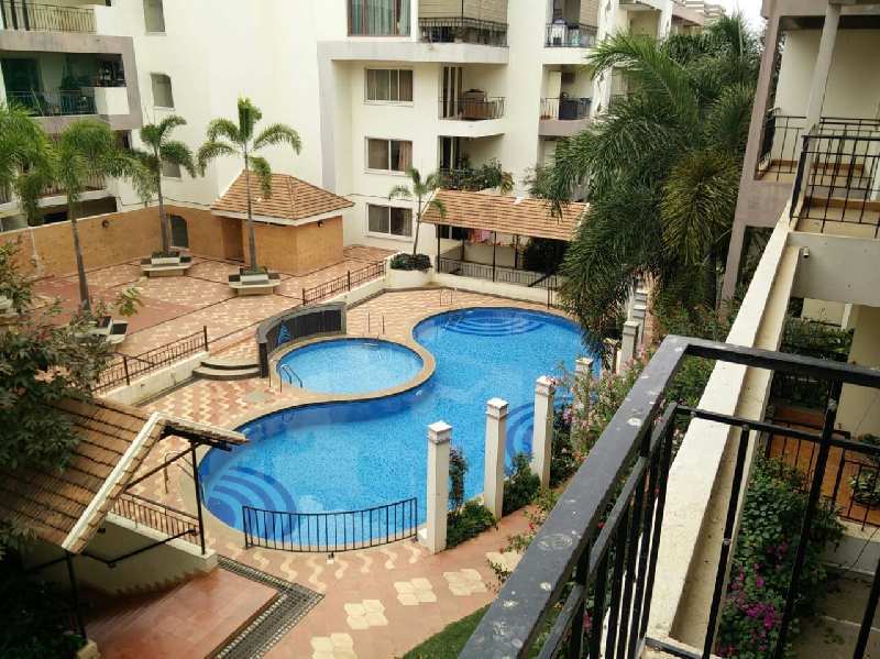 3 Bhk pool facing apartment
