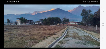 Residential Plot for Sale in Yol Cantt, Dharamshala (11 Marla)