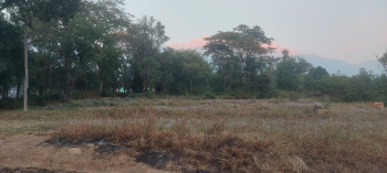 Residential Plot for Sale in Palampur Road, Dharamshala (100 Marla)