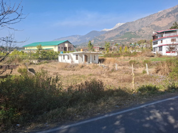 Residential Plot for Sale in Tang Narwana, Dharamshala (32 Marla)