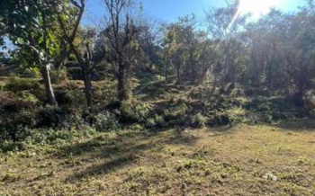 Residential Plot for Sale in Sidhbari, Dharamshala (10 Marla)