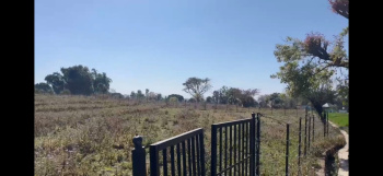 Residential Plot for Sale in Tang Narwana, Dharamshala (320 Marla)