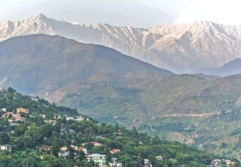 Residential Plot for Sale in Chetru, Dharamshala (100 Marla)