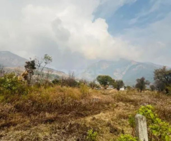 Residential Plot for Sale in Barol, Dharamshala (600 Marla)