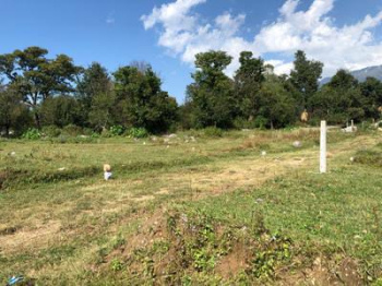 Residential Plot for Sale in Shahpur, Kangra (30 Marla)