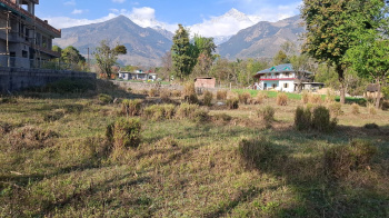 Residential Plot for Sale in Tang Narwana, Dharamshala (80 Marla)