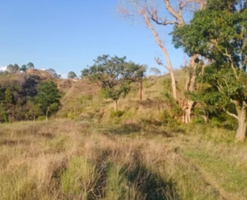 Residential Plot for Sale in Sidhbari, Dharamshala (20 Marla)
