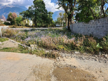 Residential Plot for Sale in Tapovan, Dharamshala (20 Marla)