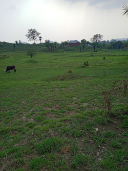 Residential Plot for Sale in Ranital, Kangra (1000 Marla)