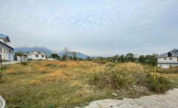 Residential Plot for Sale in Ghuggar, Palampur (63 Marla)