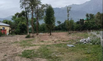 Residential Plot for Sale in Shahpur, Kangra (40 Marla)