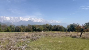 Agricultural/Farm Land for Sale in Rait, Kangra (400 Marla)