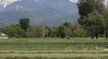 Residential Plot for Sale in Nagrota Bagwan, Kangra (60 Marla)