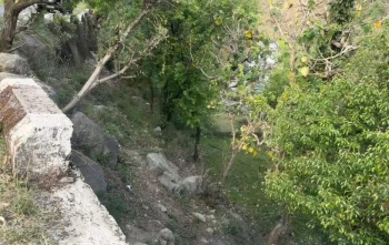 Residential Plot for Sale in Khanyara Road, Dharamshala (28 Marla)