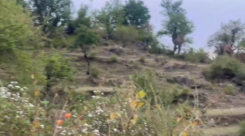 Residential Plot for Sale in Chohla, Dharamshala (72 Marla)