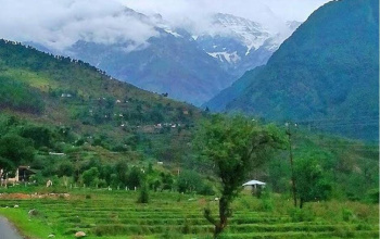 Residential Plot for Sale in Tang Narwana, Dharamshala (21 Marla)