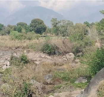 60 Marla Residential Plot for Sale in Sukkad Road, Dharamshala