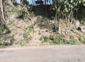 Residential Plot for Sale in Sukkad Road, Dharamshala (60 Marla)