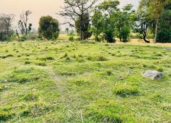 Residential Plot for Sale in Matour, Kangra (12 Marla)