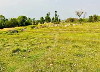 Residential Plot for Sale in Matour, Kangra (15 Marla)