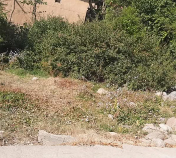 Residential Plot for Sale in Civil Lines, Dharamshala (11 Marla)