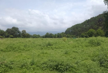 Residential Plot for Sale in Khanyara Road, Dharamshala (22 Marla)