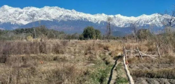 Residential Plot for Sale in Khanyara Road, Dharamshala (24 Marla)