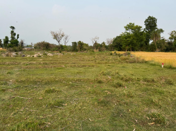 Residential Plot for Sale in Barol, Dharamshala (2000 Marla)