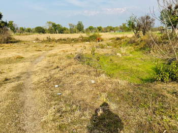 Residential Plot for Sale in Jawahar Nagar, Dharamshala (26 Marla)