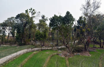 Residential Plot for Sale in Yol Cantt, Dharamshala (25 Marla)