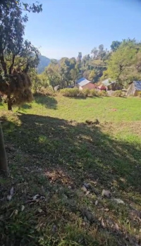 Residential Plot for Sale in Palampur Road, Dharamshala (60 Marla)