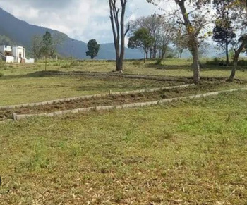 Residential Plot for Sale in Gharoh, Dharamshala (24 Marla)